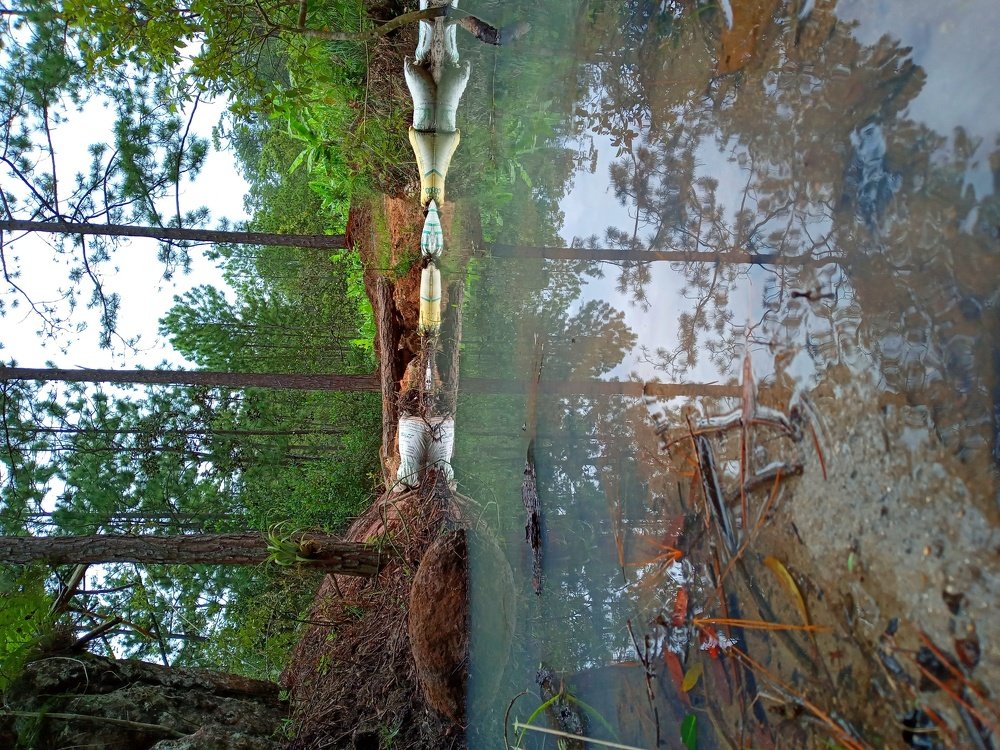 Photo #4862621