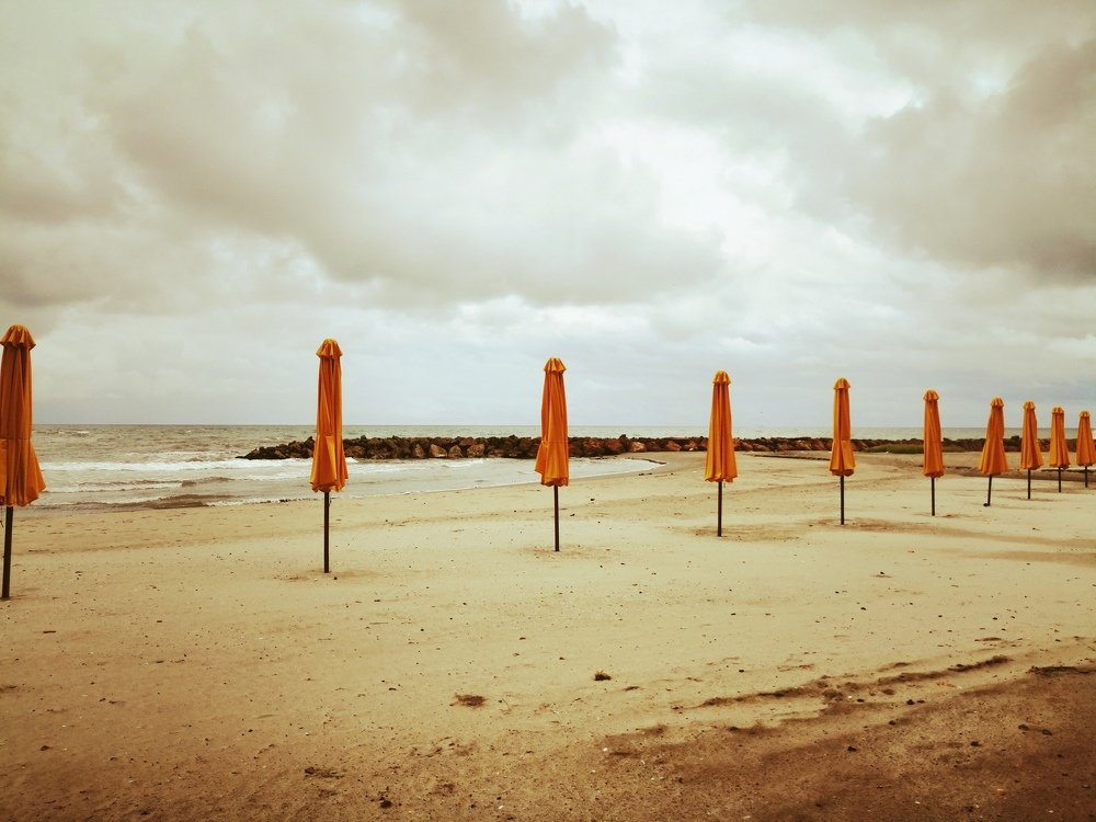 Photo #4862662