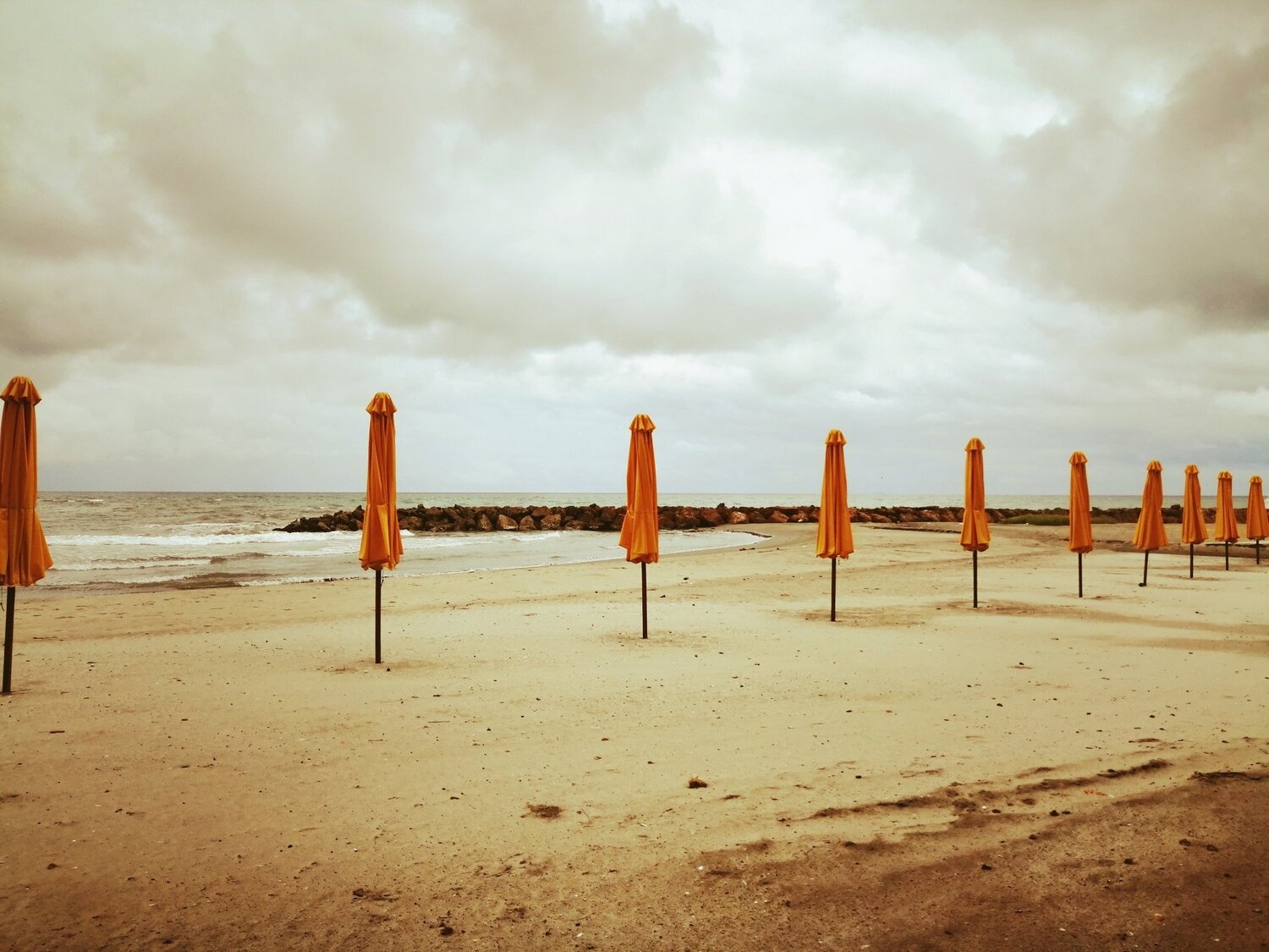 Photo #4862662