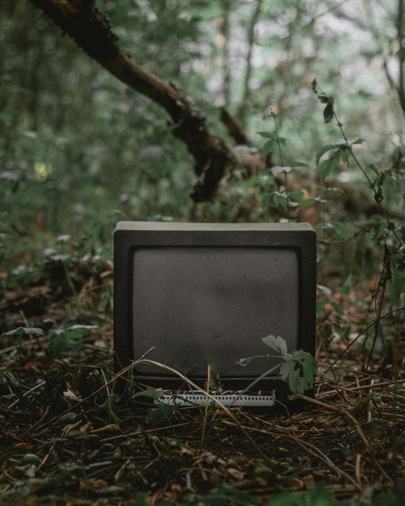 Photograph by Александр Битюков