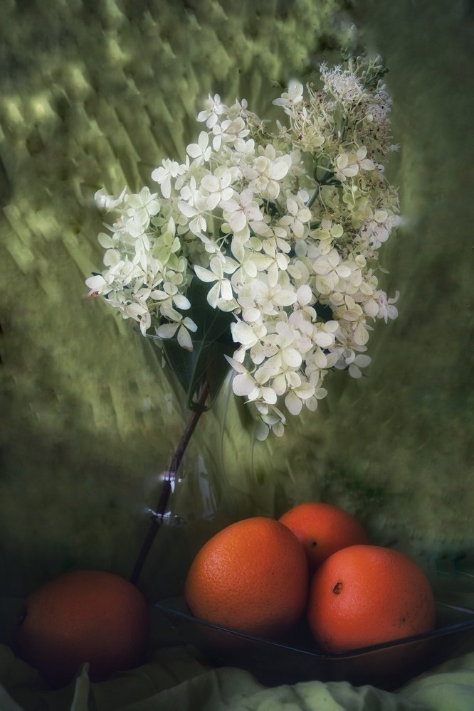 Фотография автора Justyna Jeżak