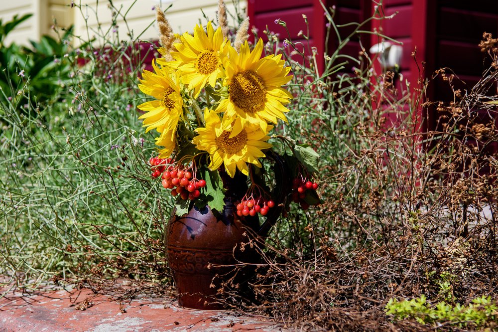 Photograph by Демьян Лопатов