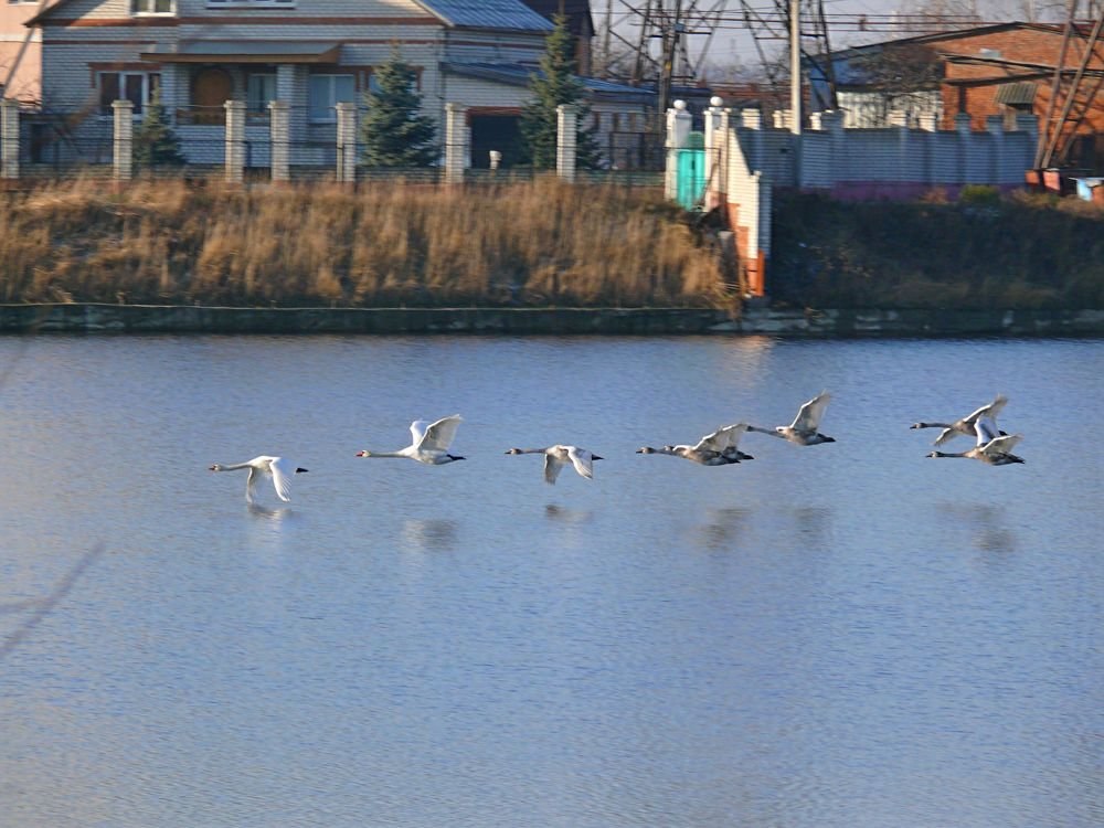 Фотография автора Клавдия Васильева