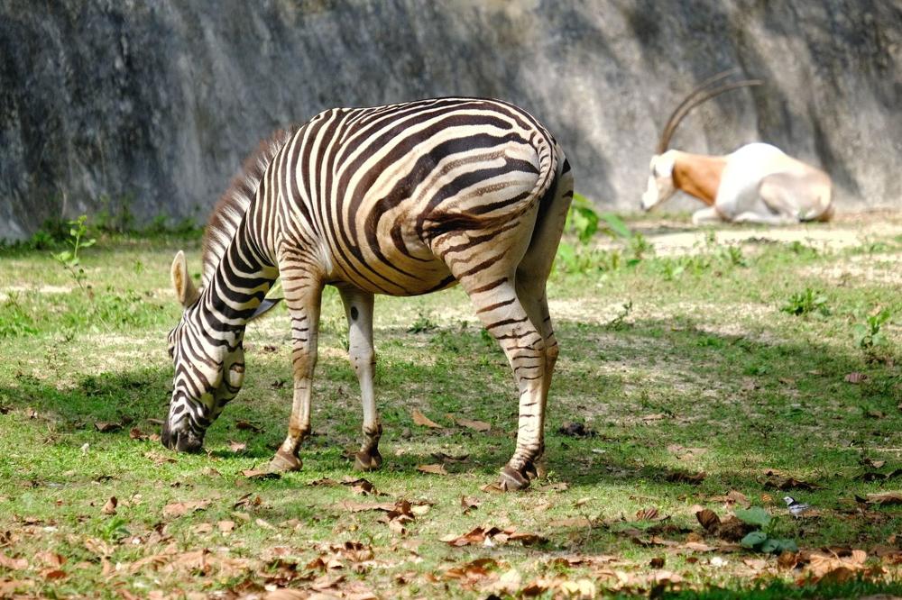 Фотография автора Денис Винарь