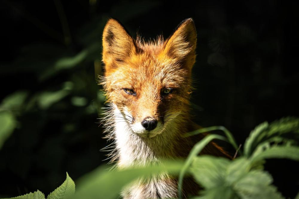Фотография автора Денис Винарь