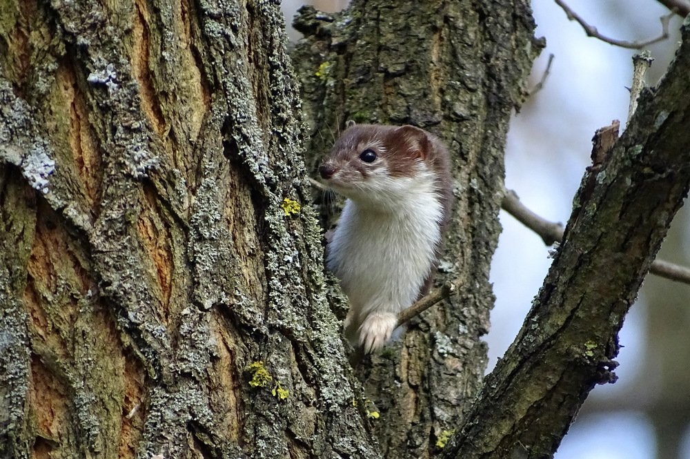 Photograph by Татьяна Калугина