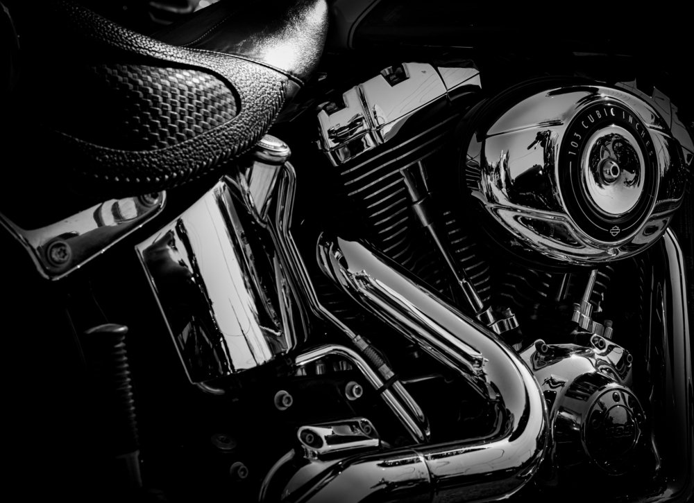 Photograph by Ali Abu Ras