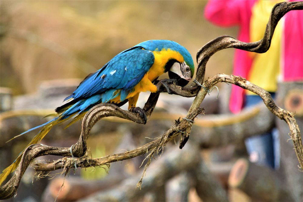 Фотография автора Борисова Мария