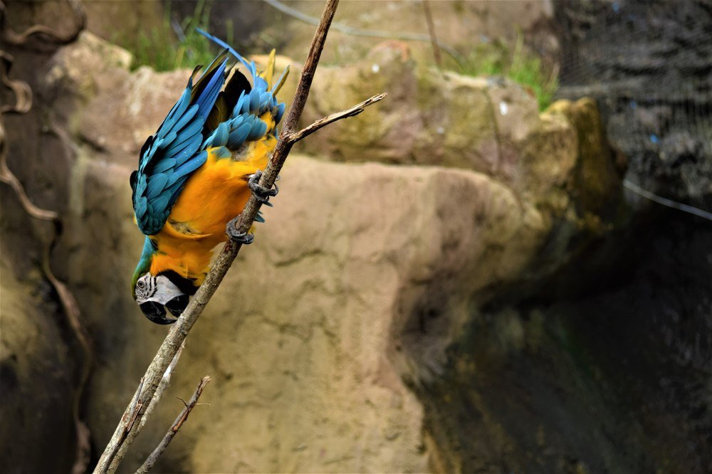 Фотография автора Борисова Мария