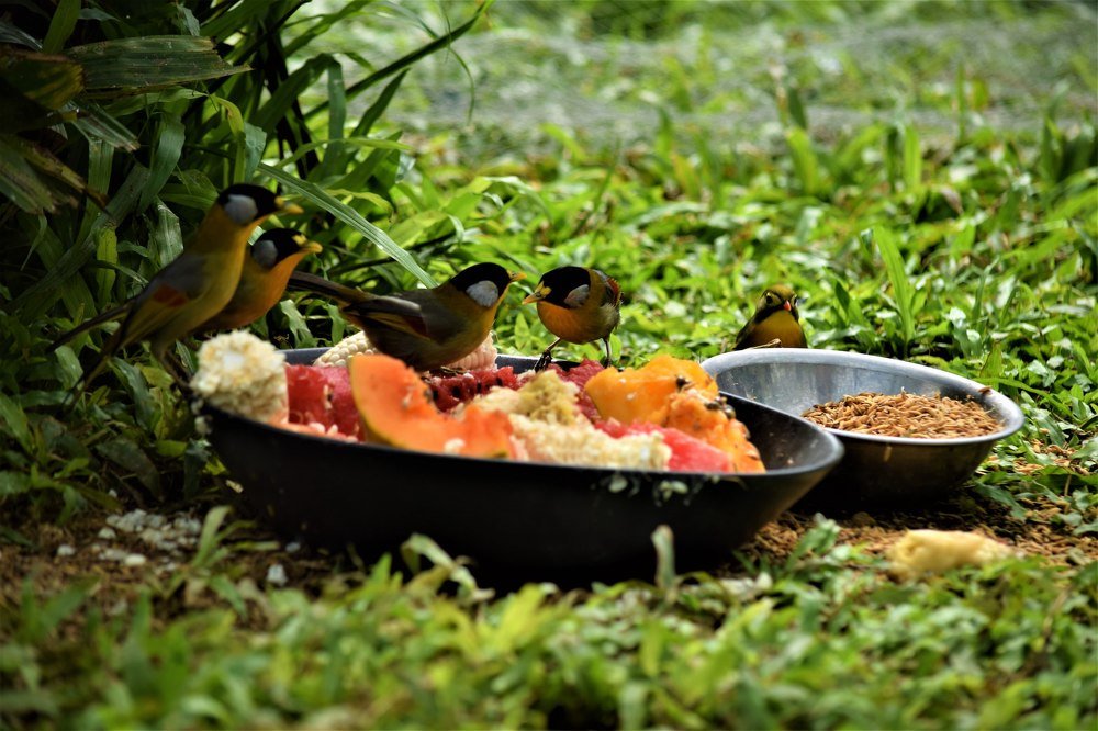 Фотография автора Борисова Мария