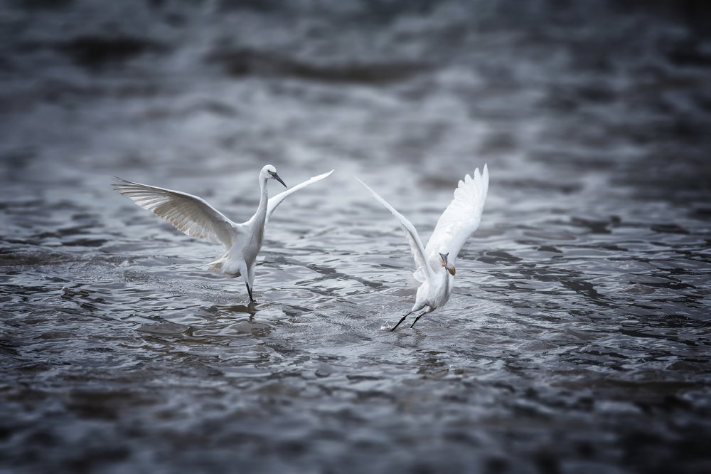 Photograph by Токарев Олег