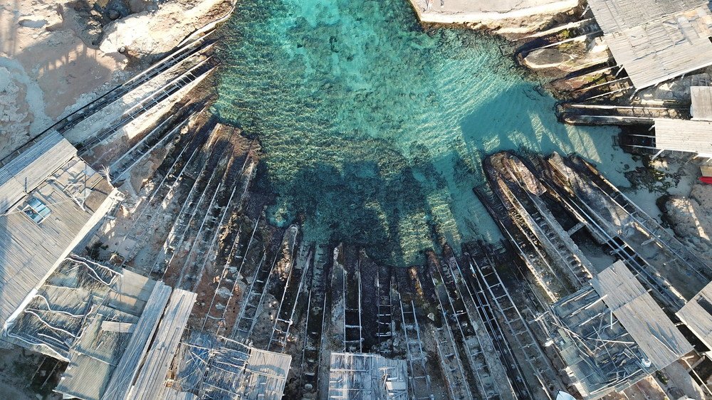 Photograph by Diego Balbi