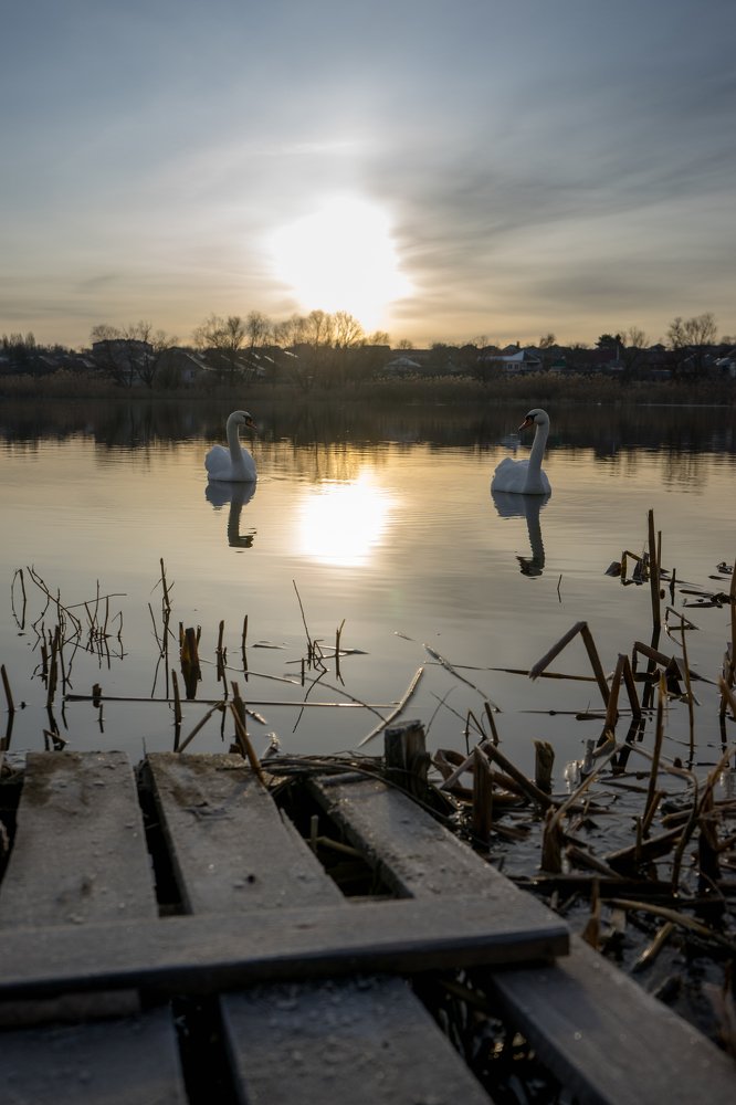 Photograph by Виктор Зотов