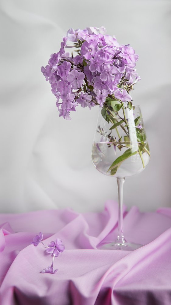 Photograph by Евдокия Спуре