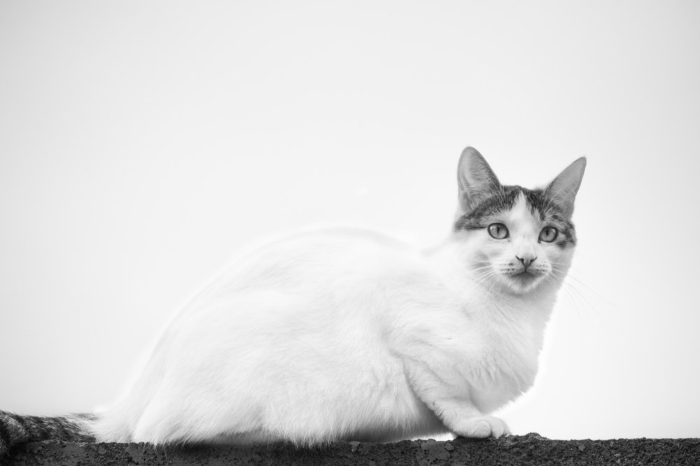 Photograph by Aldair Peñaranda Arenas