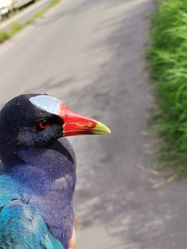 Фотография автора Enrique Rodríguez