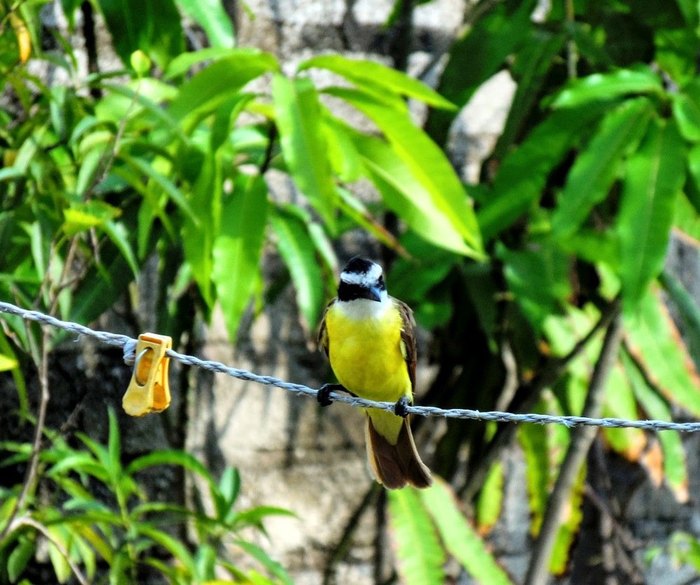 Фотография автора Enrique Rodríguez