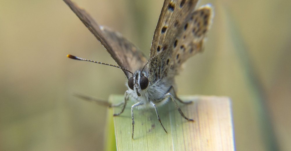 Фотография автора Виталий Медведь