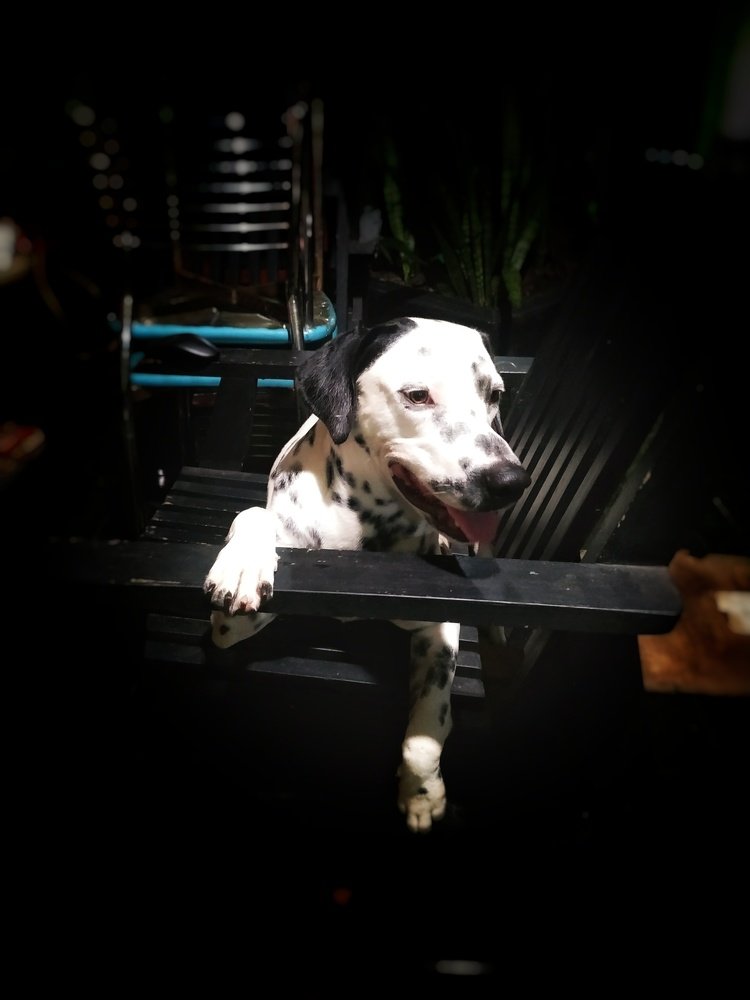 Photograph by Devon Senarathna