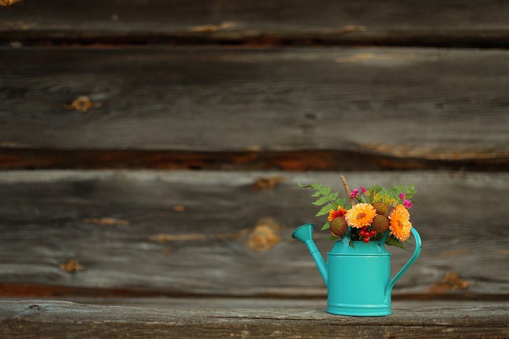 Photograph by Олеся Кучерова