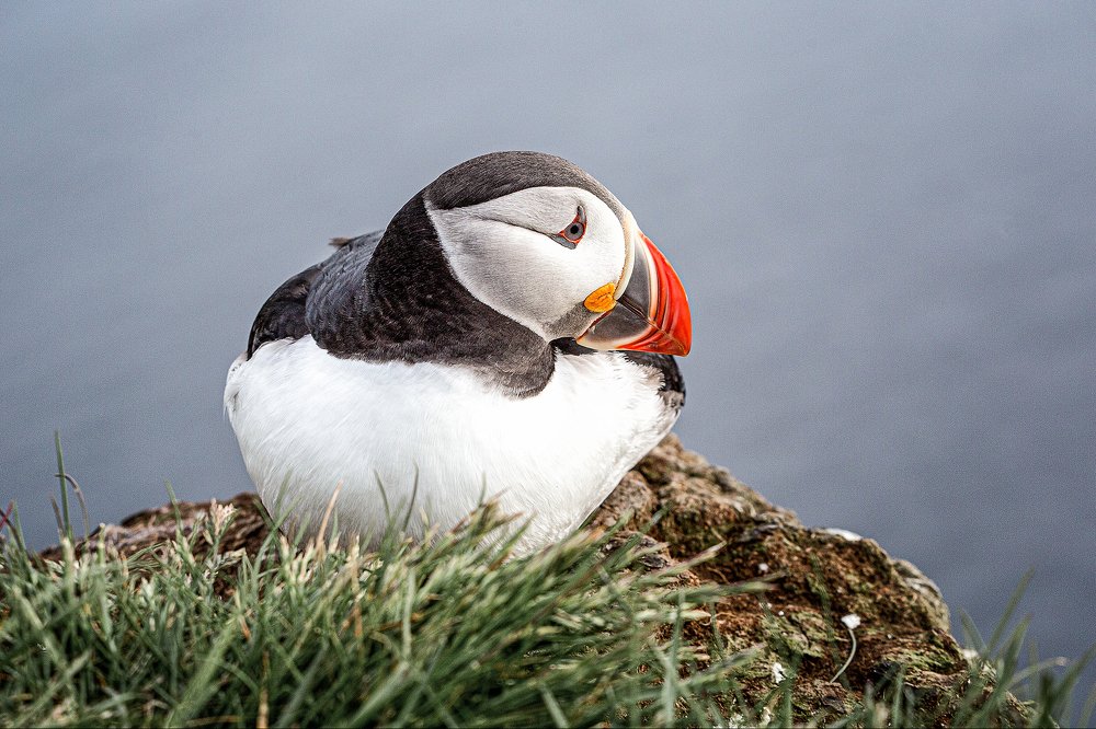 Photograph by Alexey Komissarov