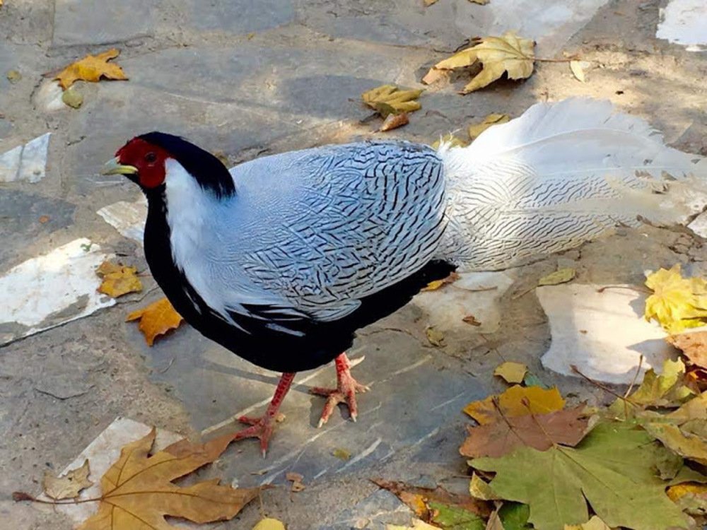 Photograph by Malika Khaliqi