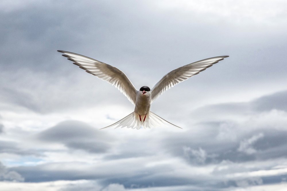 Photograph by Alexey Komissarov