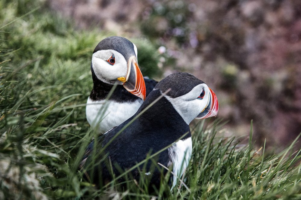 Photograph by Alexey Komissarov