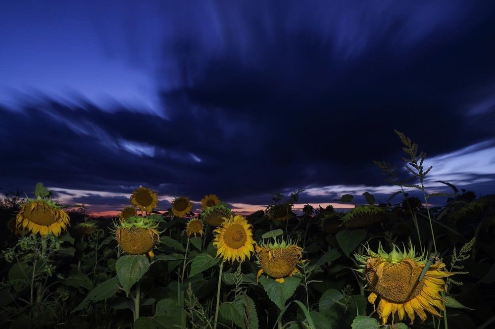 Photograph by Евгения Черентаева