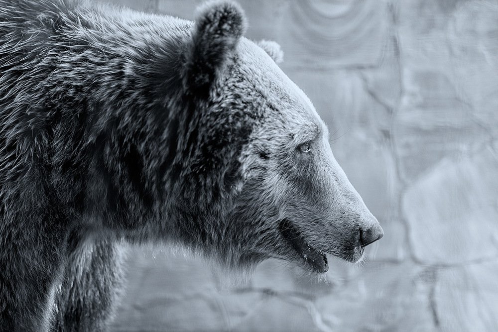 Фотография автора Игорь Баранов