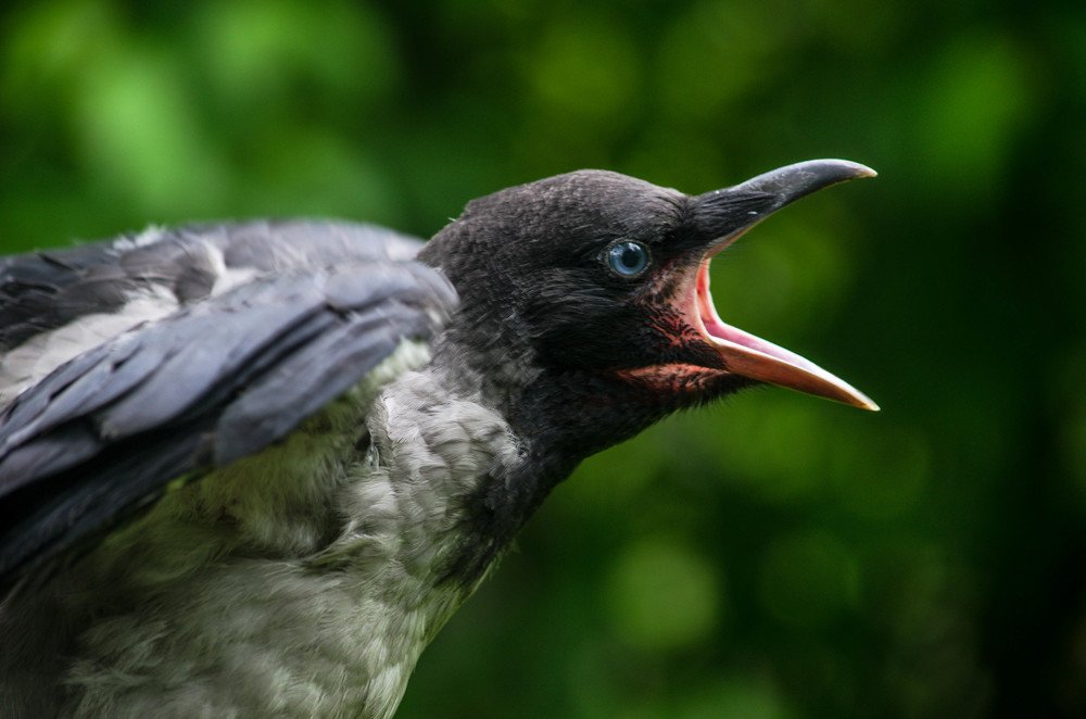 Photograph by Ирина