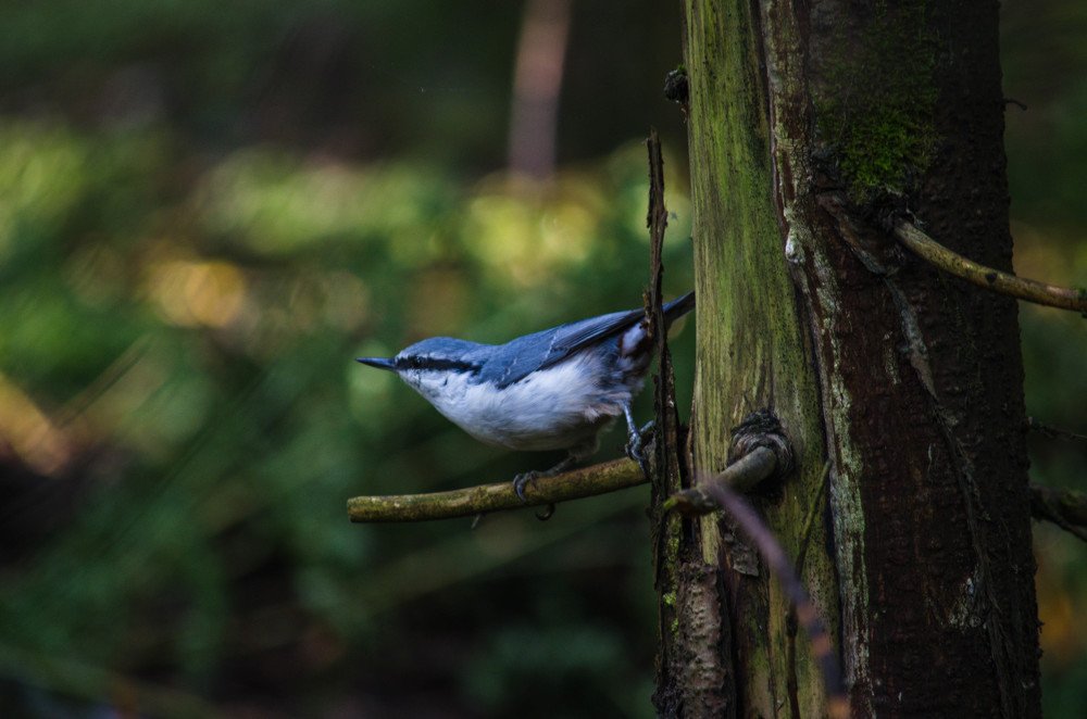 Photograph by Ирина