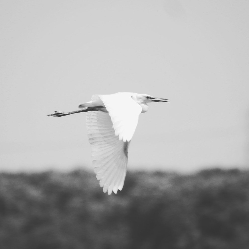 Photograph by Sarmad Sindhi