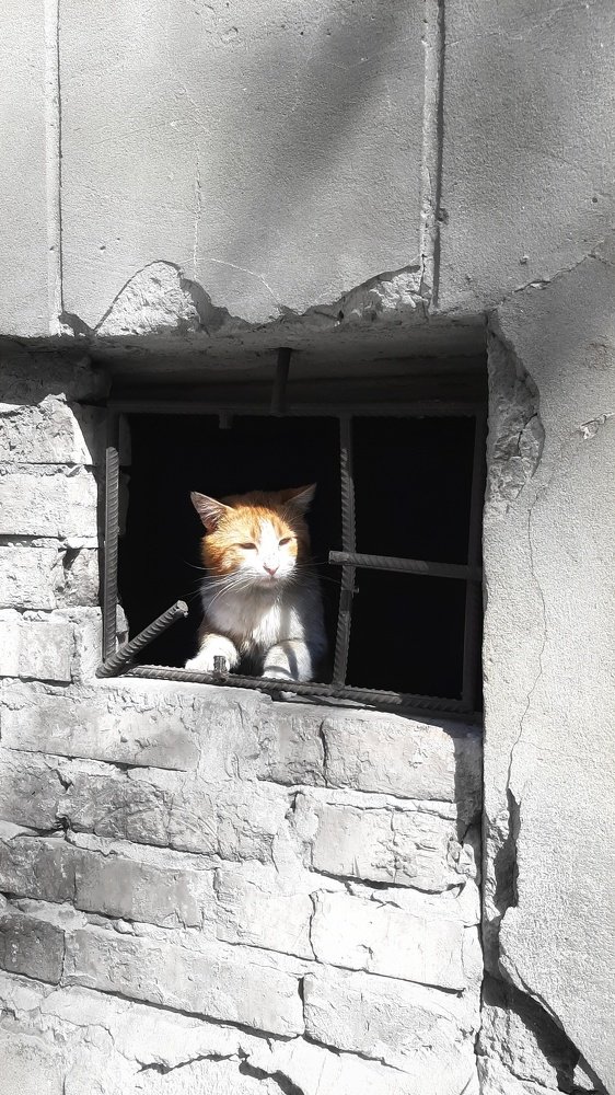 Самоизоляция