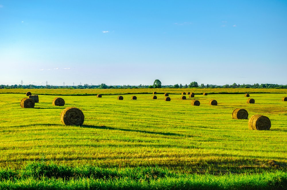 Photograph by Никита Богомолов