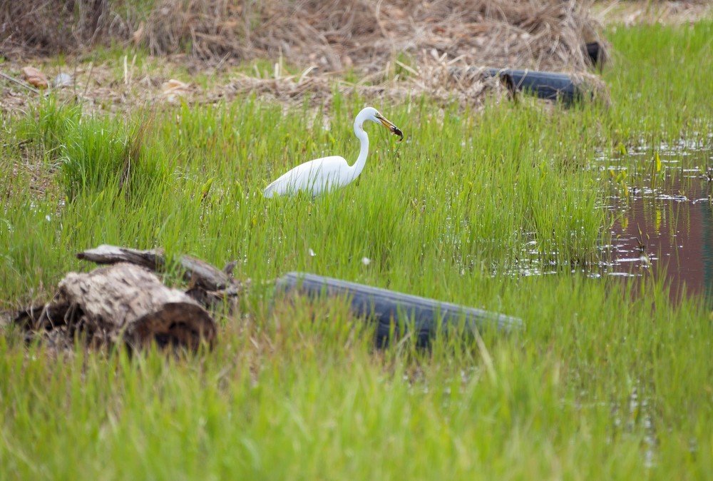 Photograph by TAISIA CHAIKA