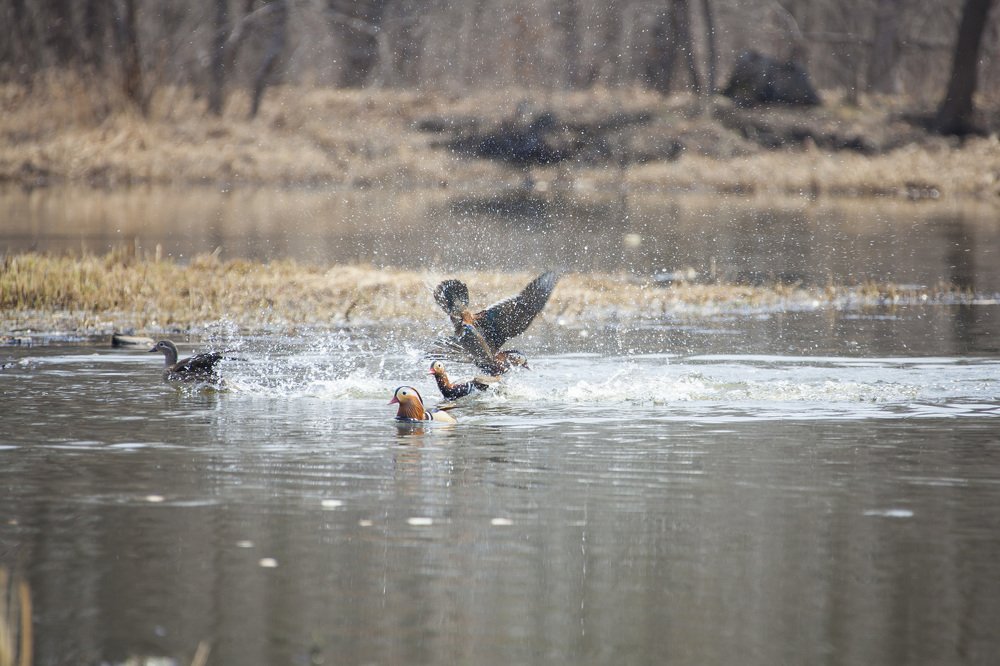 Photograph by TAISIA CHAIKA