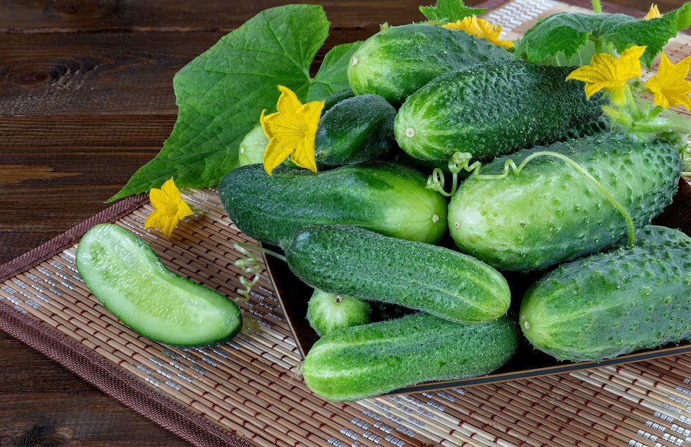Cucumbers from the garden