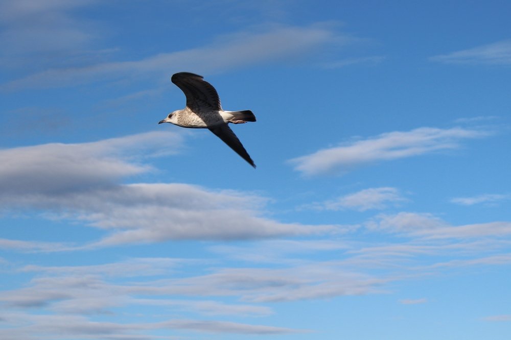 Photograph by Виталий