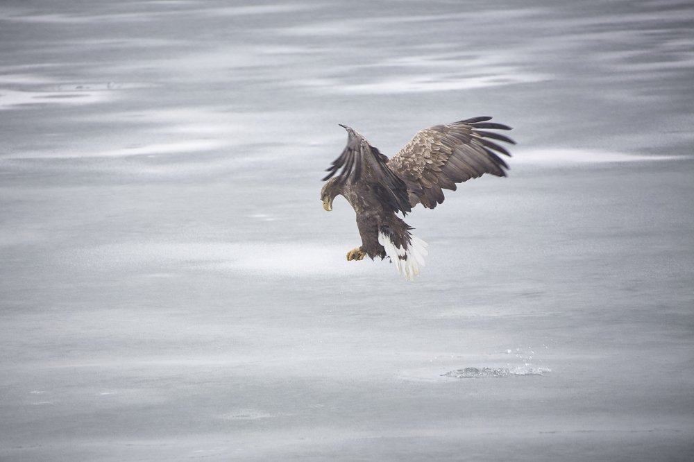 Photograph by TAISIA CHAIKA