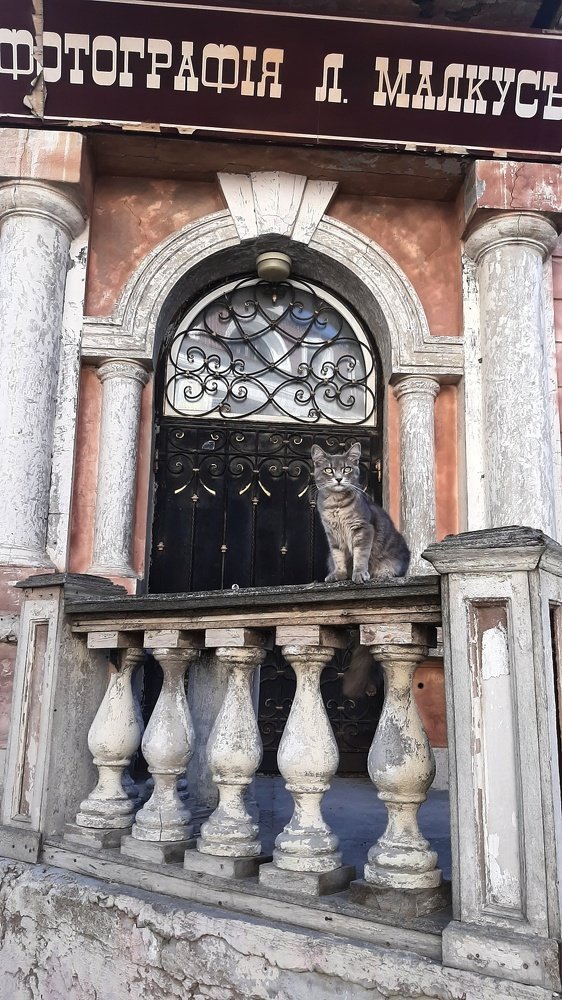 Хозяин улиц