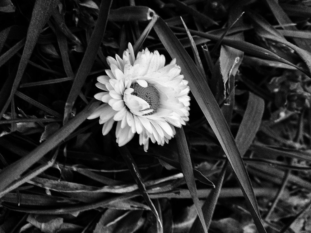 Фотография автора Füleki Elvira