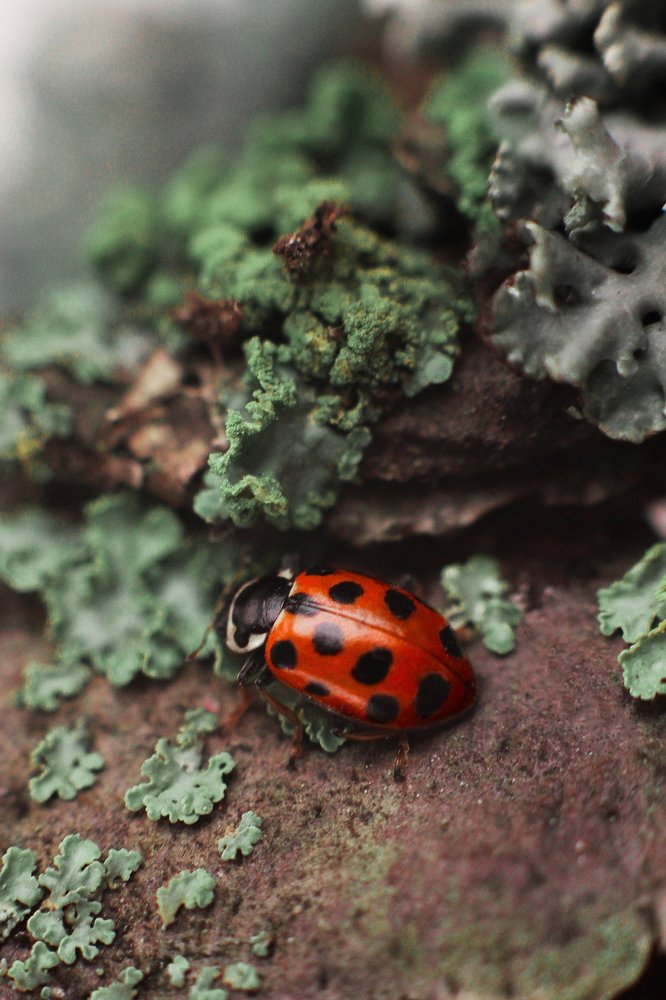 Photograph by Анна Яковлева