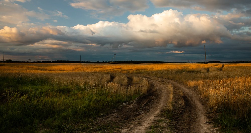 Photograph by Алексей Солоухин