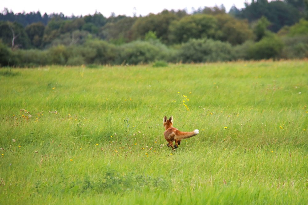 Photograph by Наталья Манусова