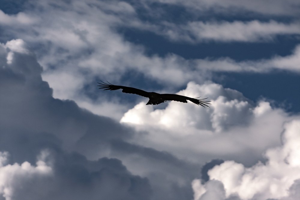 Photograph by петр чиков