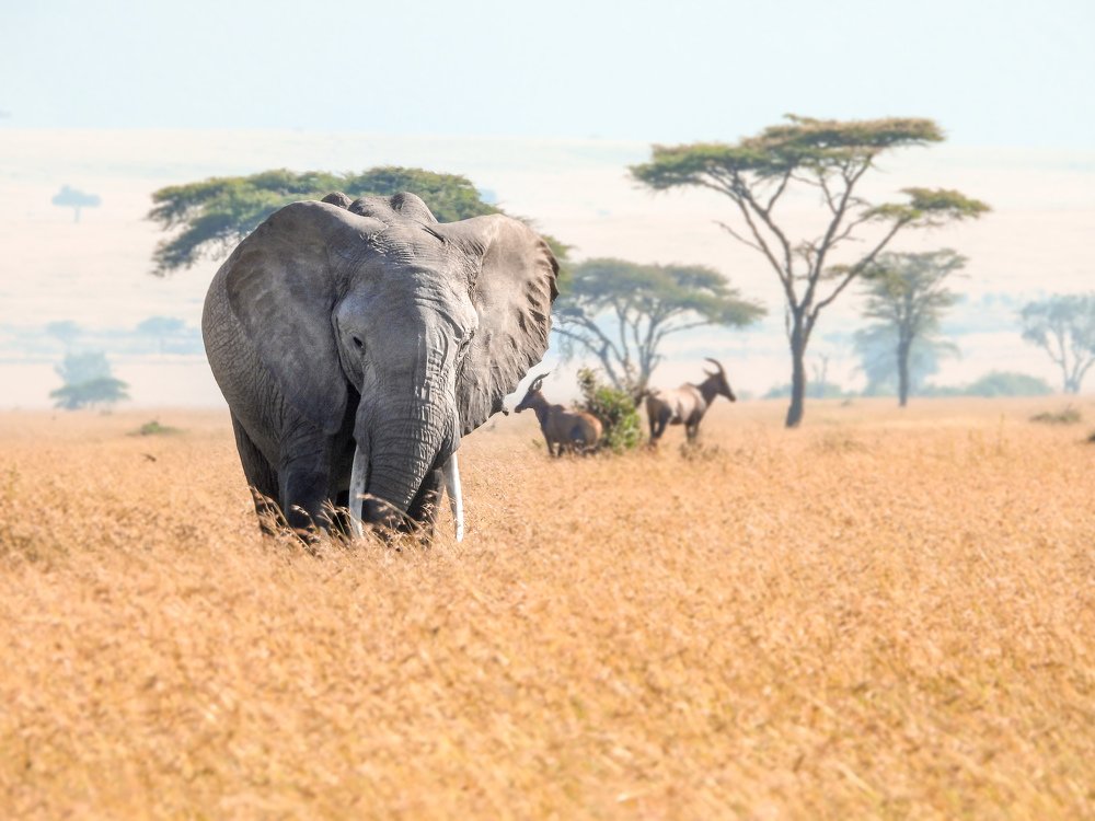 Photograph by Furqan Ali