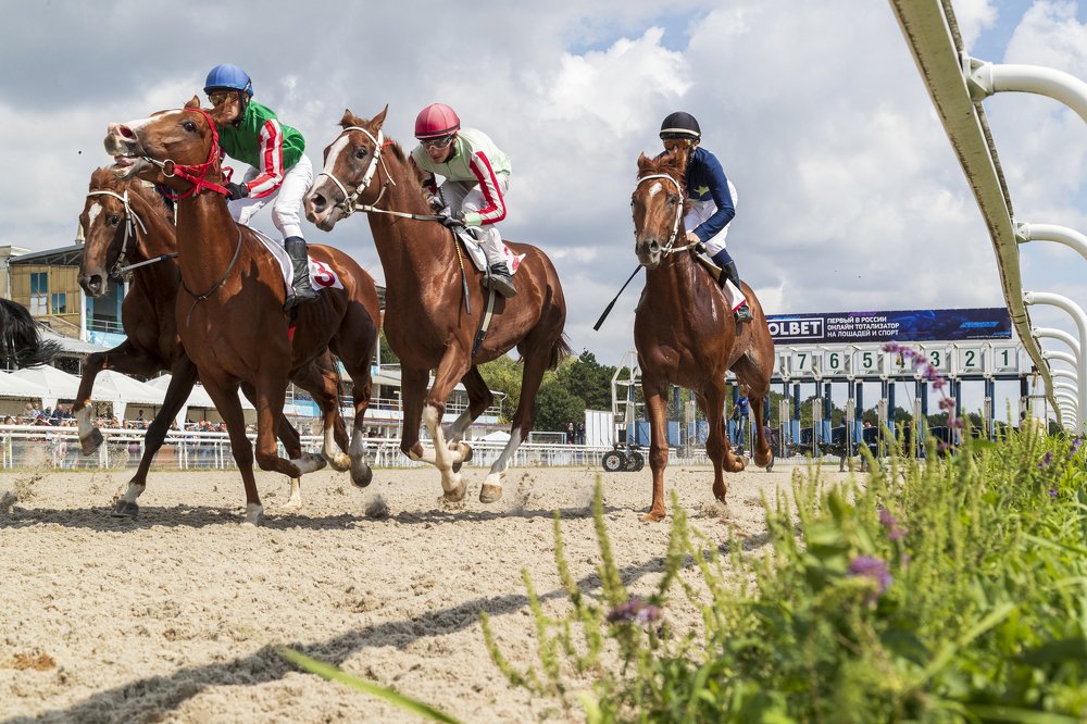 Photograph by Константин Кукушкин