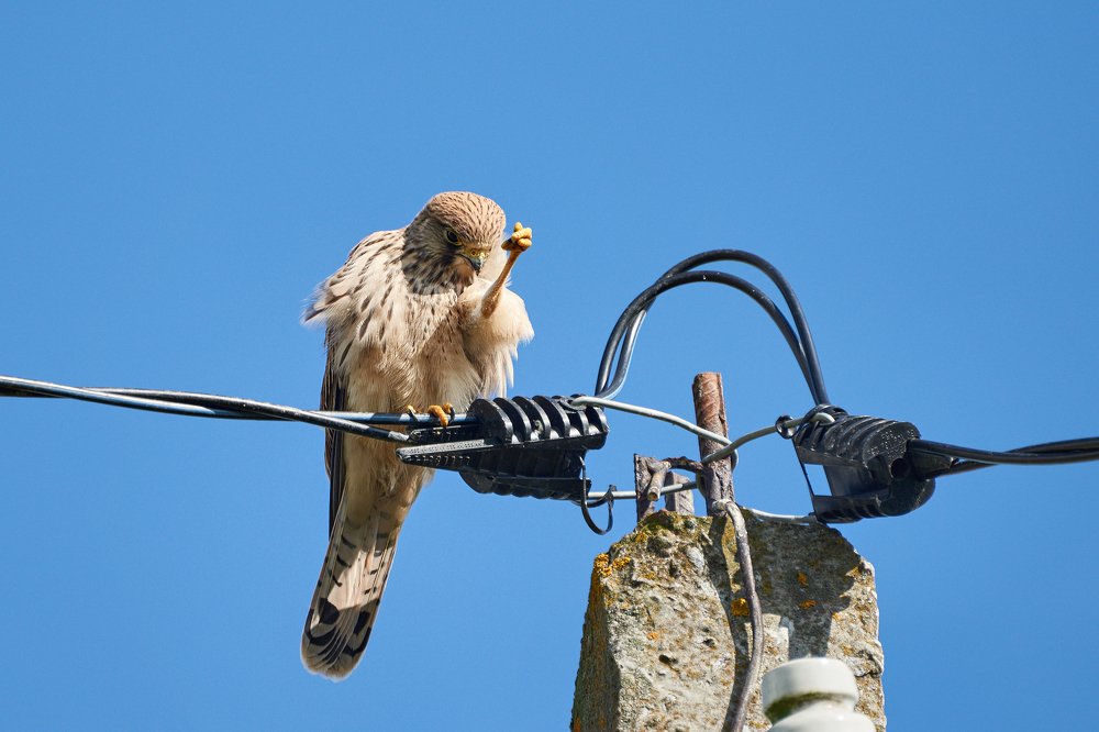 Photograph by Валерий