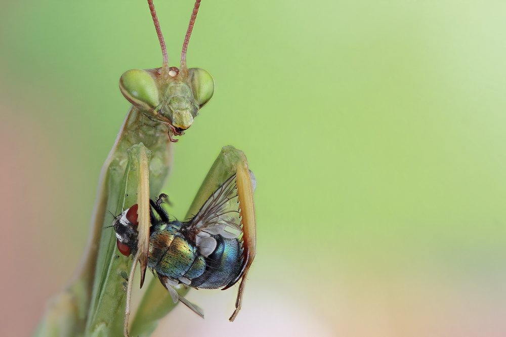 Photograph by faycal.mimoun